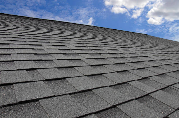 Best Rubber Roofing (EPDM, TPO)  in Princeton Meadows, NJ
